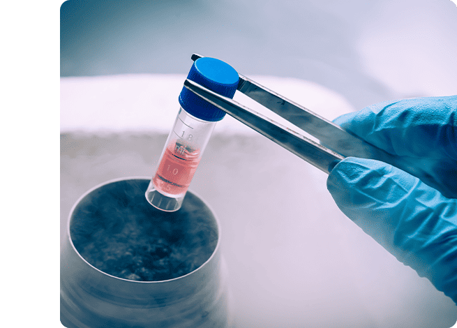 Egg Freezing Malaysia